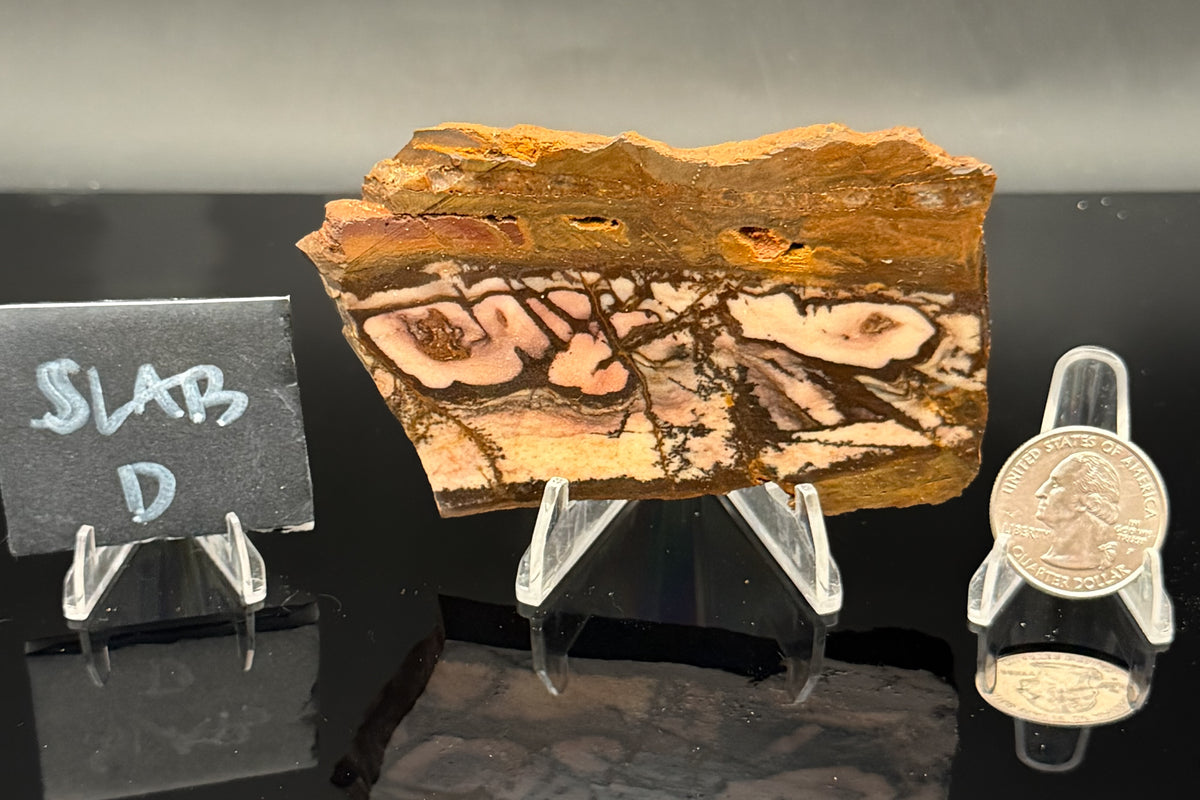 Outback Jasper (Unpolished)