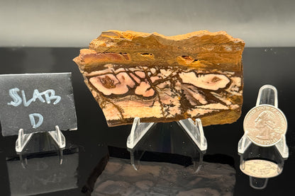 Outback Jasper (Unpolished)