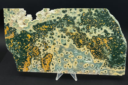 1st Vein Ocean Jasper (Unpolished)