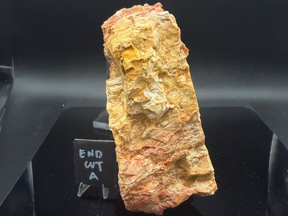 Howardite Jasper