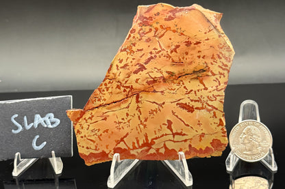 Owyhee Jasper (Unpolished)