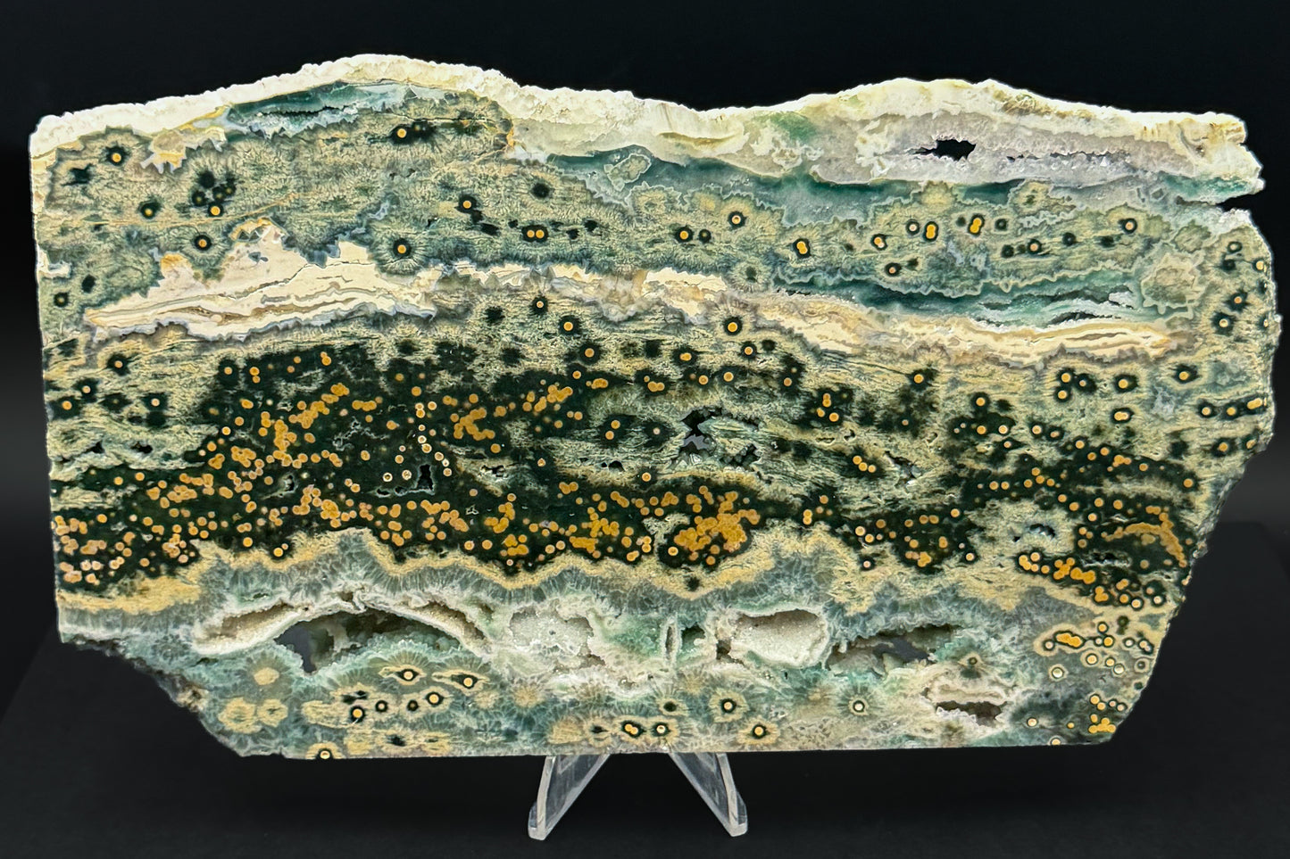 1st Vein Ocean Jasper (Unpolished)