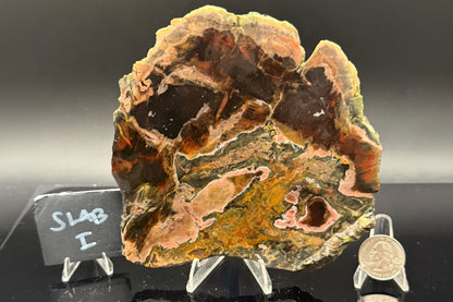 Turkish Petrified Wood (Unpolished)