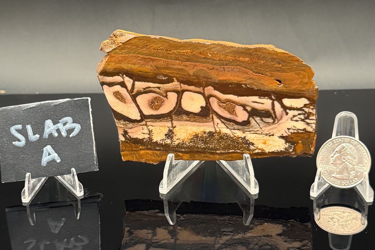 Outback Jasper (Unpolished)