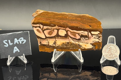 Outback Jasper (Unpolished)