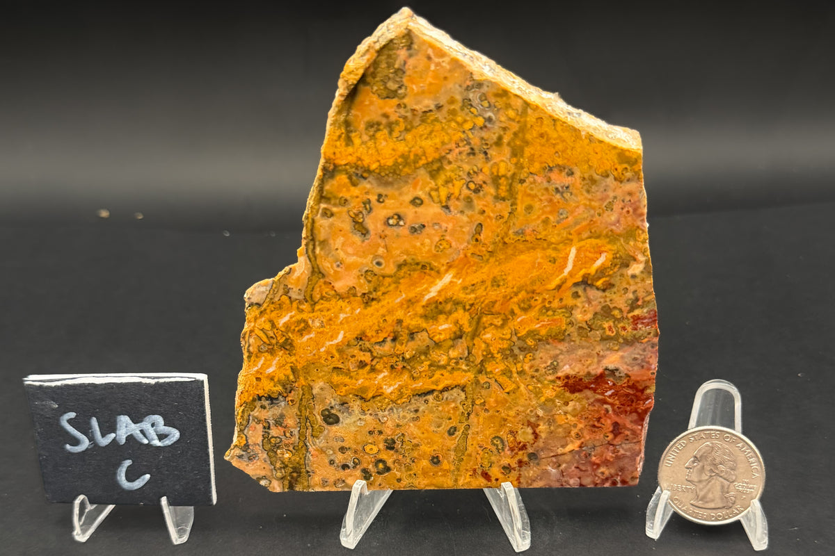 Leopard Skin Rhyolite (Unpolished)