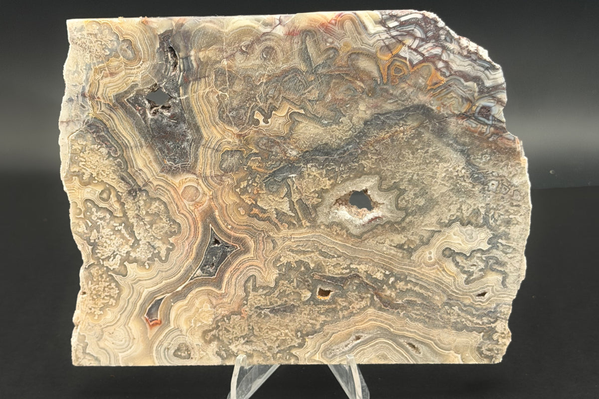 Candle Lace Agate (Unpolished)