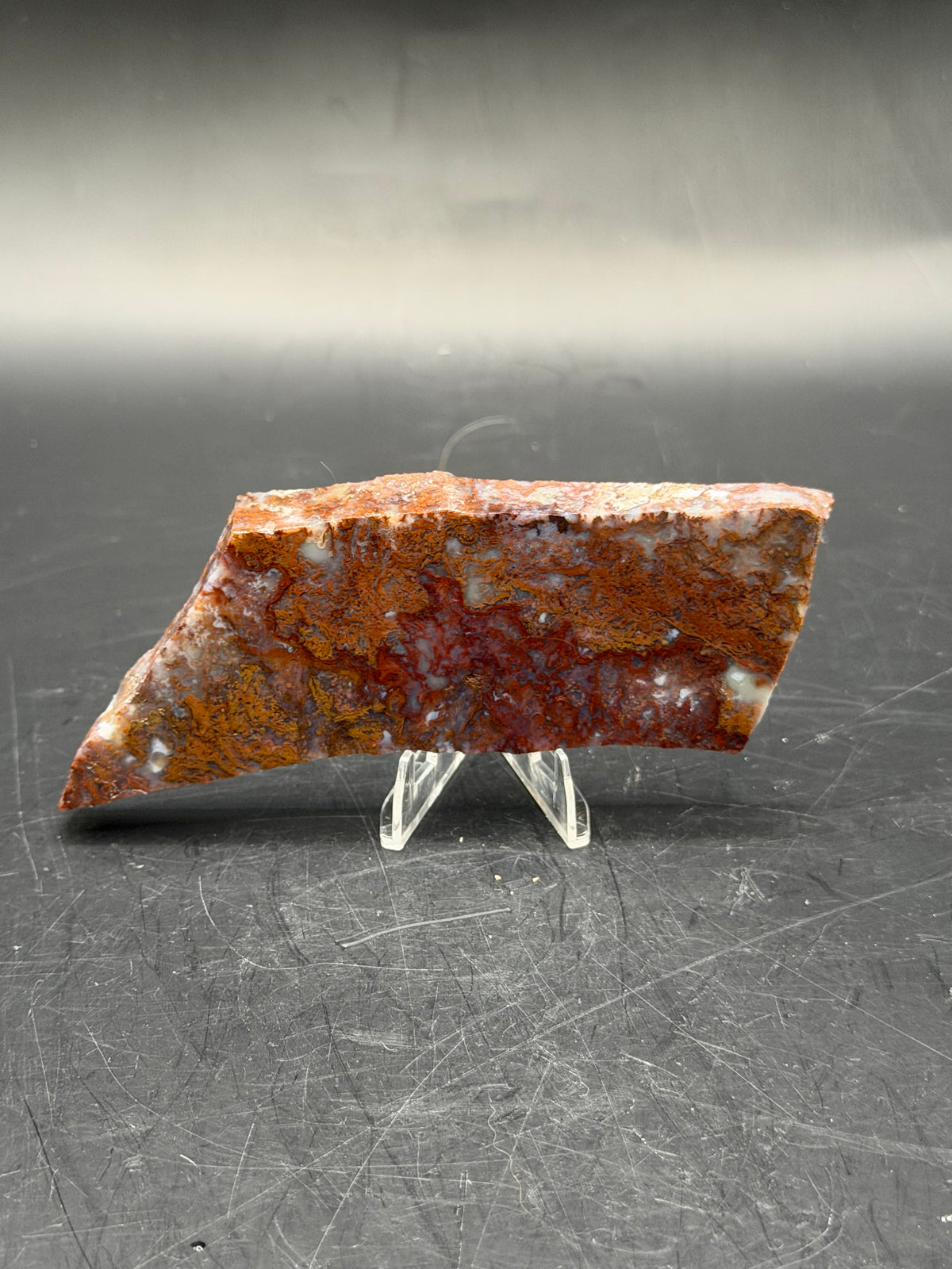 Maury Mountain Moss Agate (Unpolished) Slabs