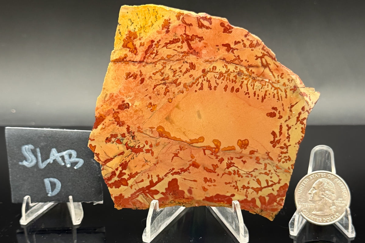 Owyhee Jasper (Unpolished)
