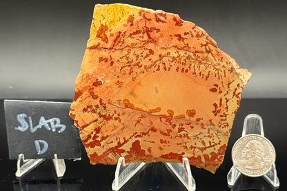 Owyhee Jasper (Unpolished)