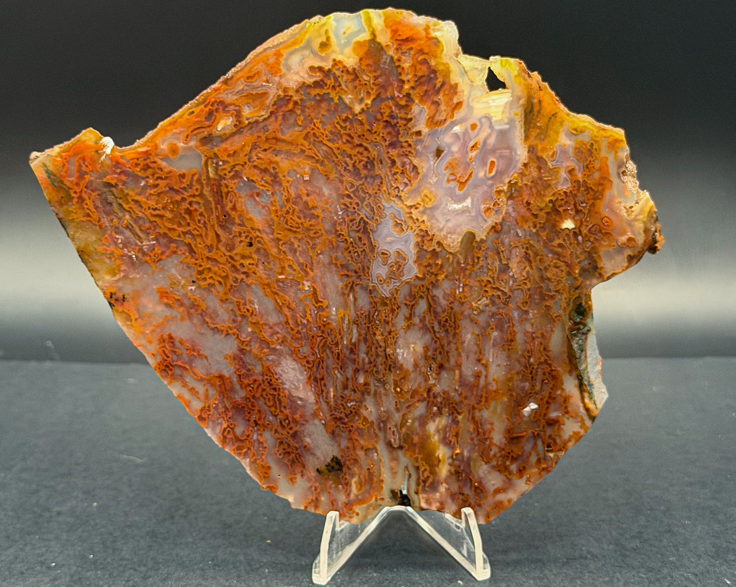 Bull Canyon Tube/Moss Agate (Unpolished)