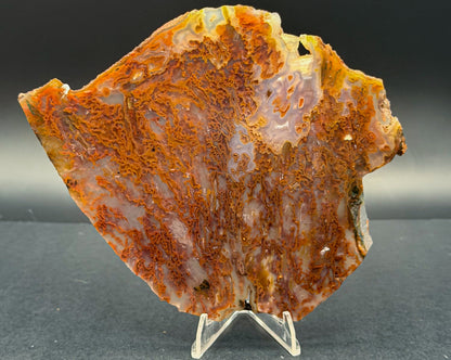 Bull Canyon Tube/Moss Agate (Unpolished)