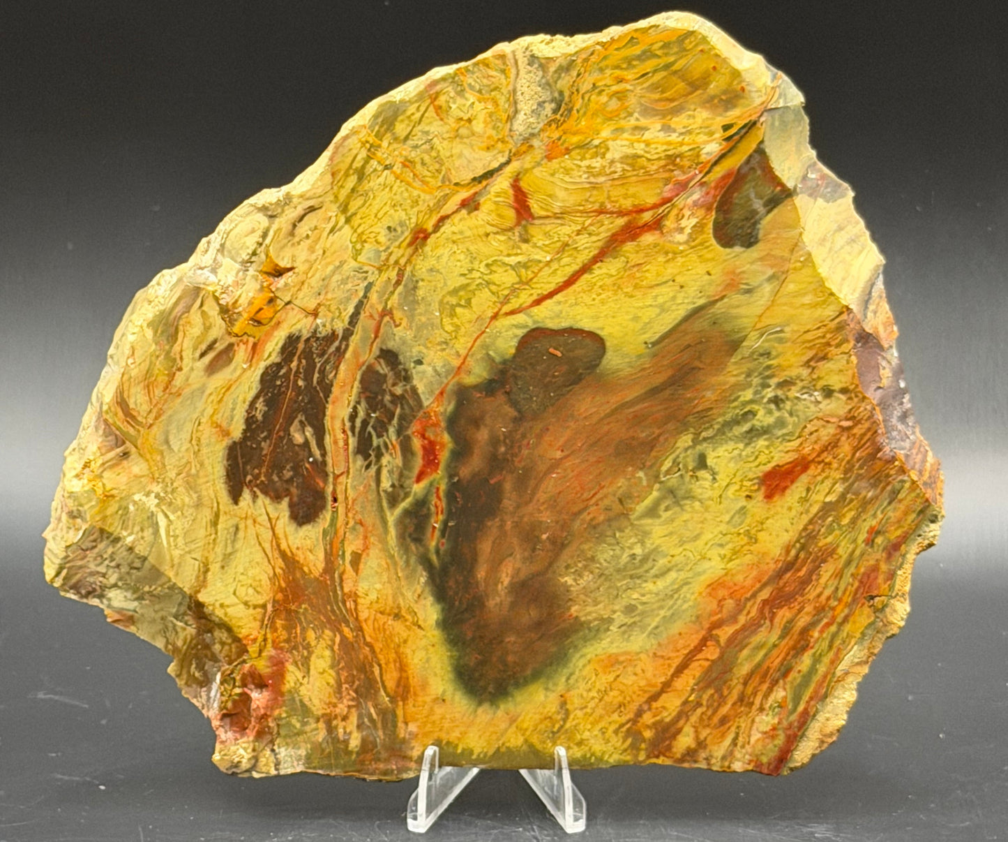 Morrisonite Jasper slab (Unpolished)