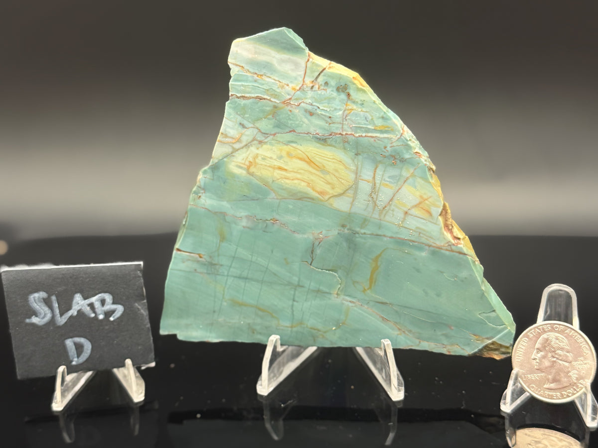 Skagg's Jasper (Unpolished)