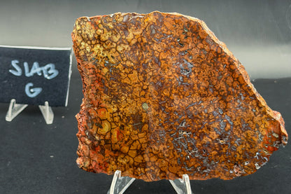 Spiderman Jasper Slabs (Unpolished)
