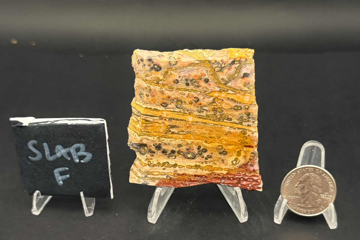 Leopard Skin Rhyolite (Unpolished)