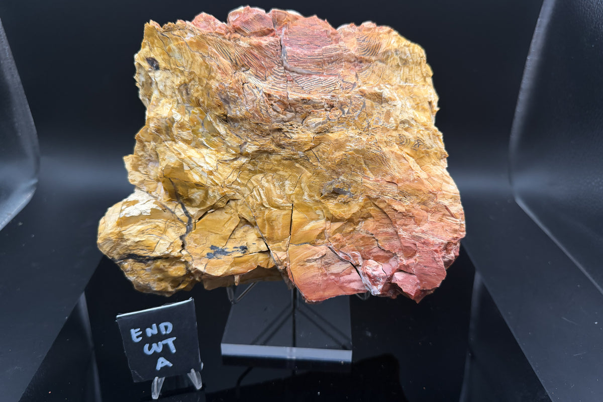 Howardite Jasper