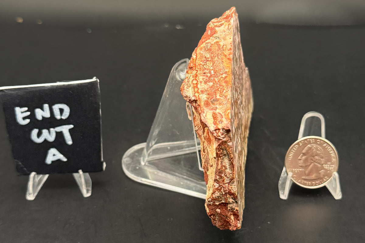 Leopard Skin Rhyolite (Unpolished)