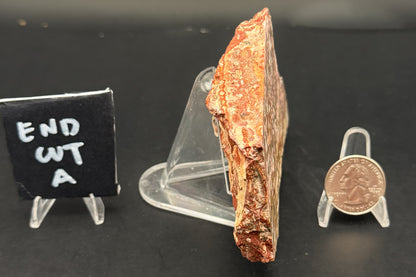 Leopard Skin Rhyolite (Unpolished)