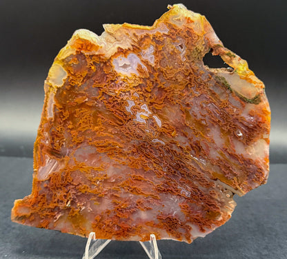 Bull Canyon Tube/Moss Agate (Unpolished)