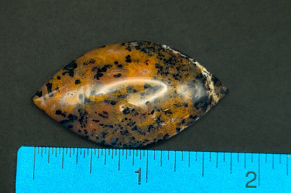 Cheetah Agate
