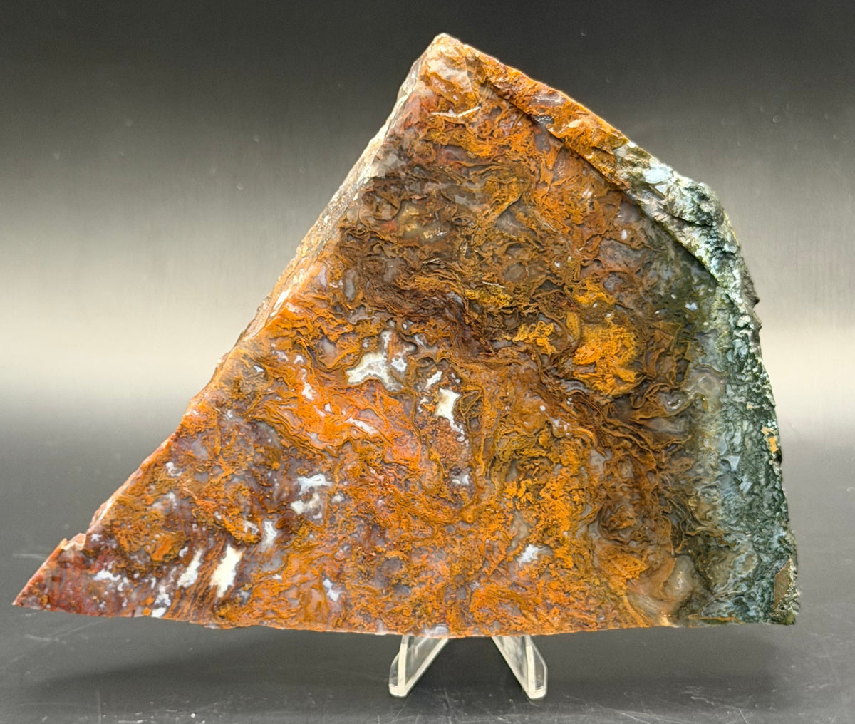 Maury Mountain Moss Agate (Unpolished) Slabs