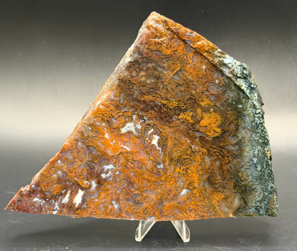 Maury Mountain Moss Agate (Unpolished) Slabs