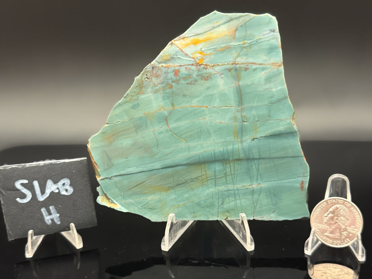Skagg's Jasper (Unpolished)