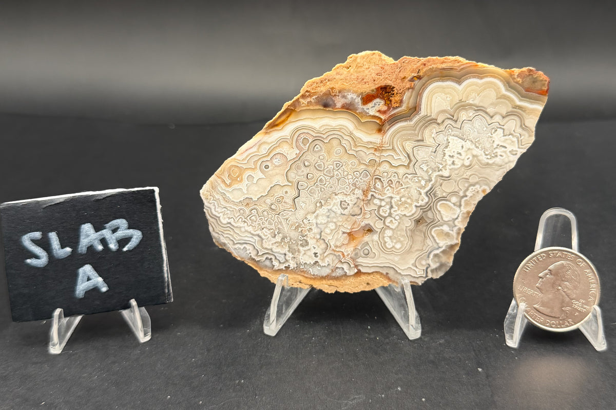 Candle Lace Agate Slab Set (Unpolished)