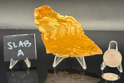 Howardite Jasper