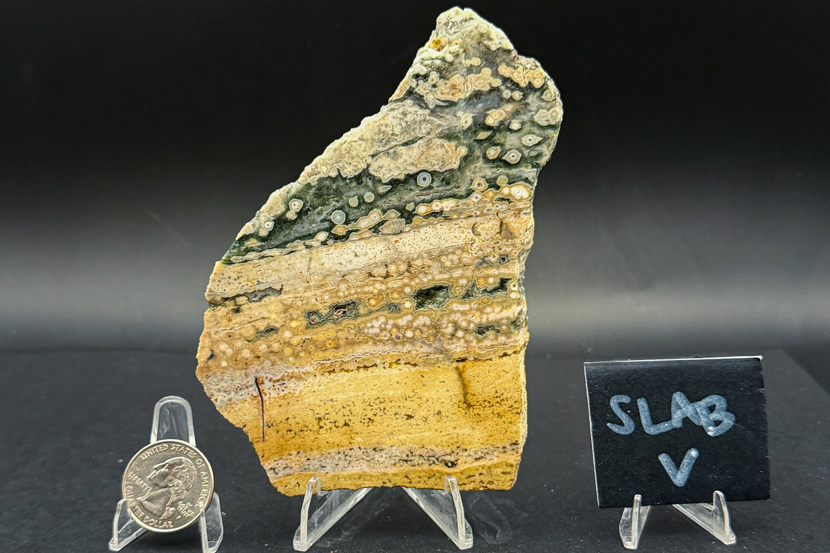 Ocean Jasper Slab (Unpolished)
