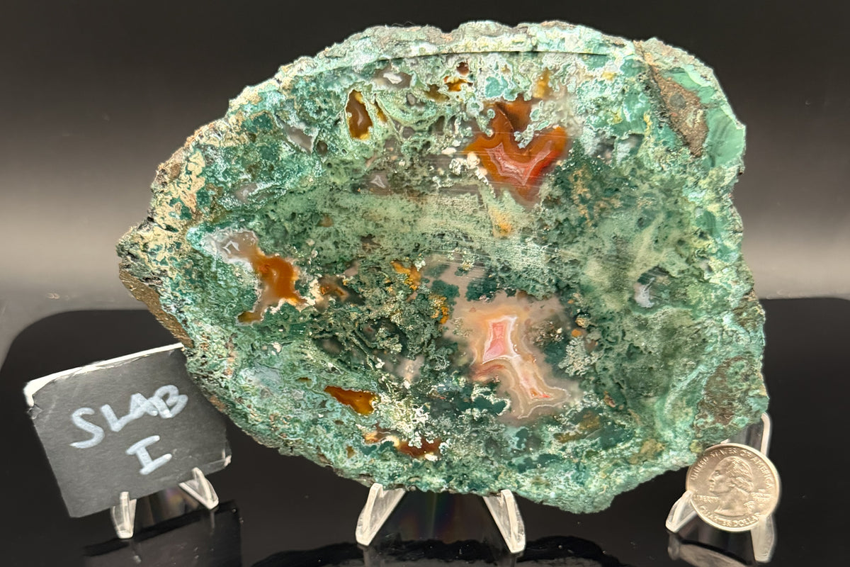 Turkish Limbcast with Agatized Chrysocolla (Unpolished)