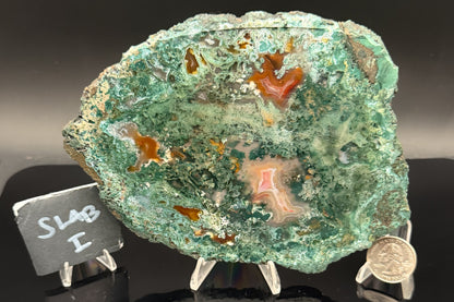 Turkish Limbcast with Agatized Chrysocolla (Unpolished)