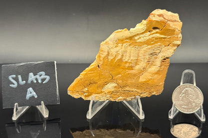 Howardite Jasper