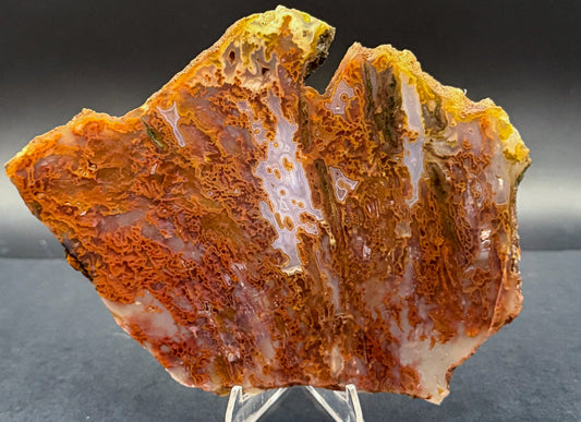 Bull Canyon Tube/Moss Agate (Unpolished)