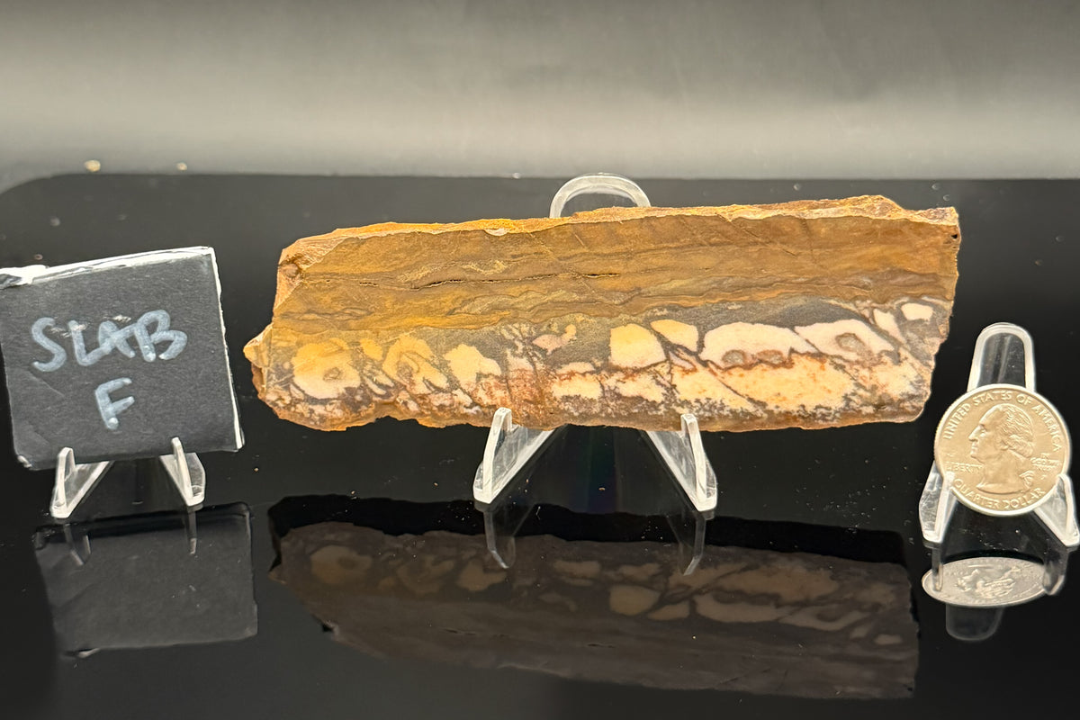 Outback Jasper (Unpolished)
