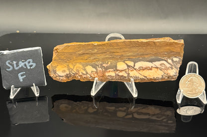Outback Jasper (Unpolished)