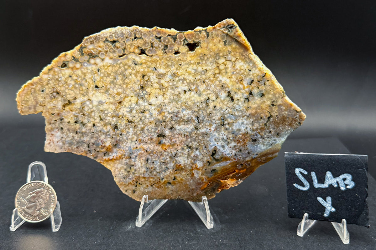 Ocean Jasper Slab (Unpolished)