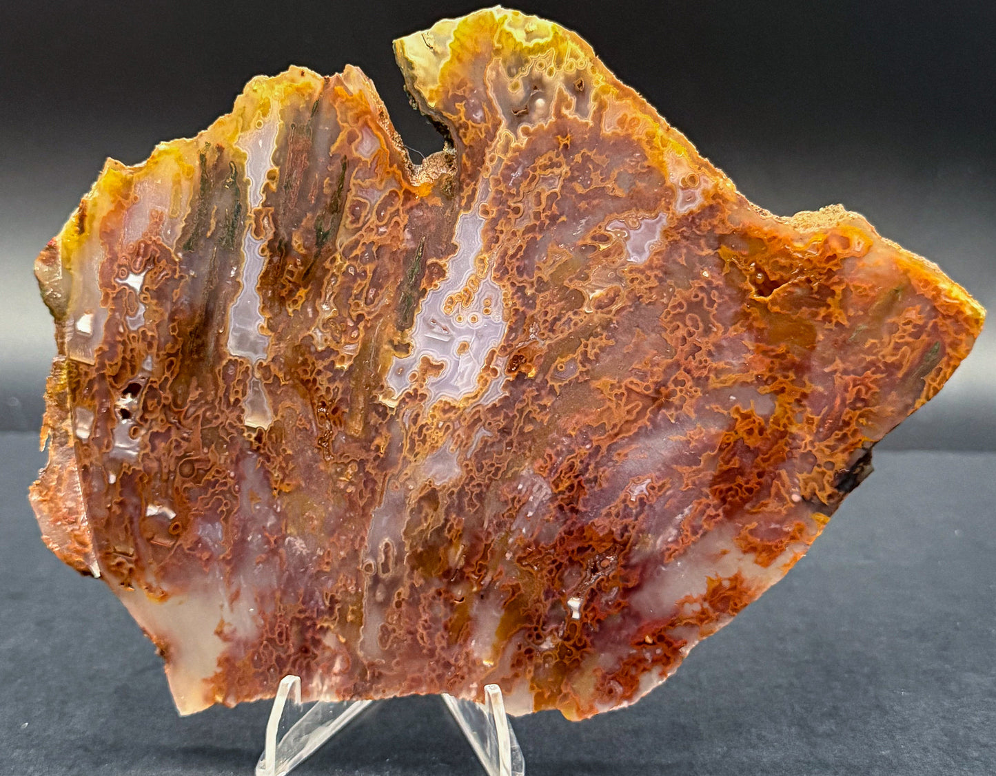 Bull Canyon Tube/Moss Agate (Unpolished)