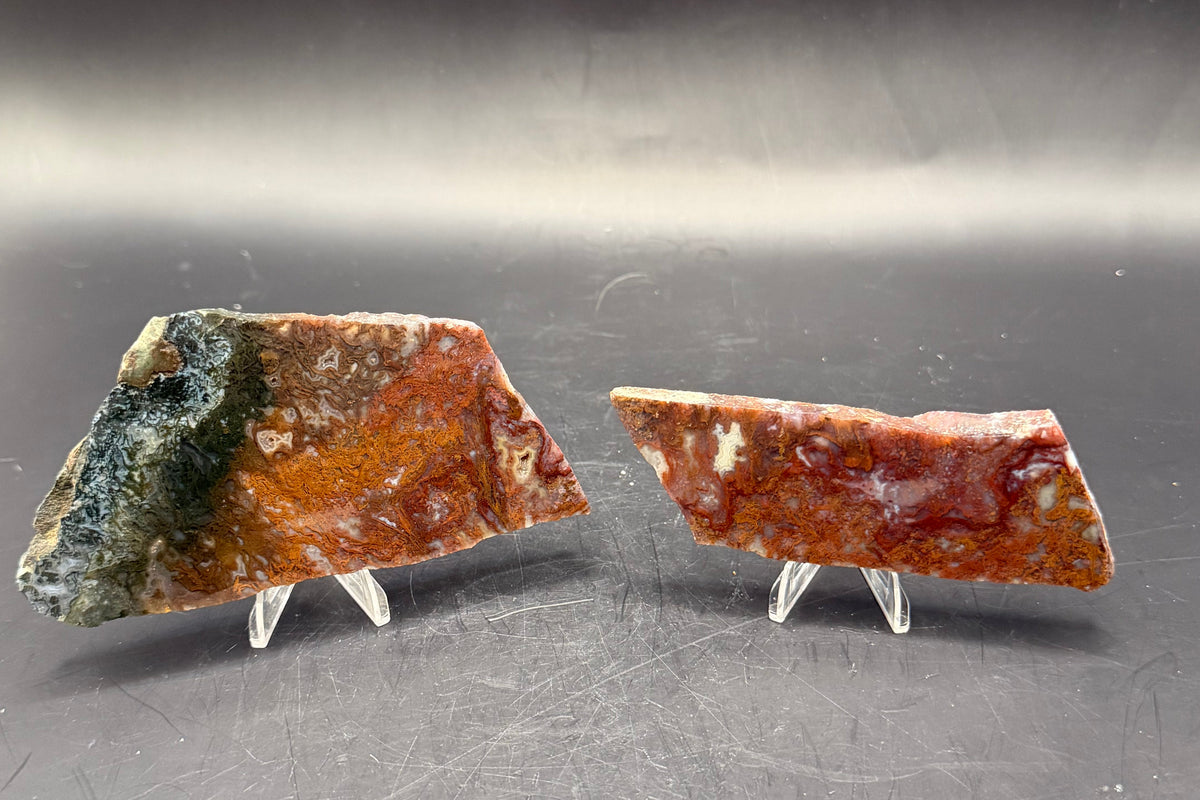 Maury Mountain Moss Agate (Unpolished) Slabs