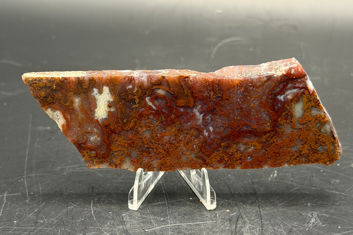 Maury Mountain Moss Agate (Unpolished) Slabs