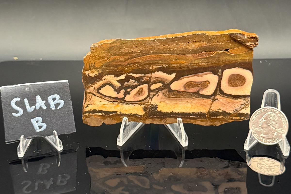 Outback Jasper (Unpolished)