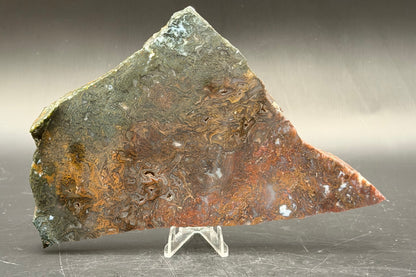 Maury Mountain Moss Agate (Unpolished) Slabs