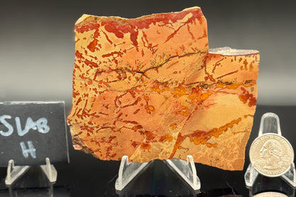 Owyhee Jasper (Unpolished)