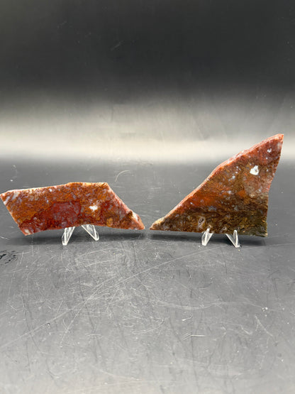 Maury Mountain Moss Agate (Unpolished) Slabs