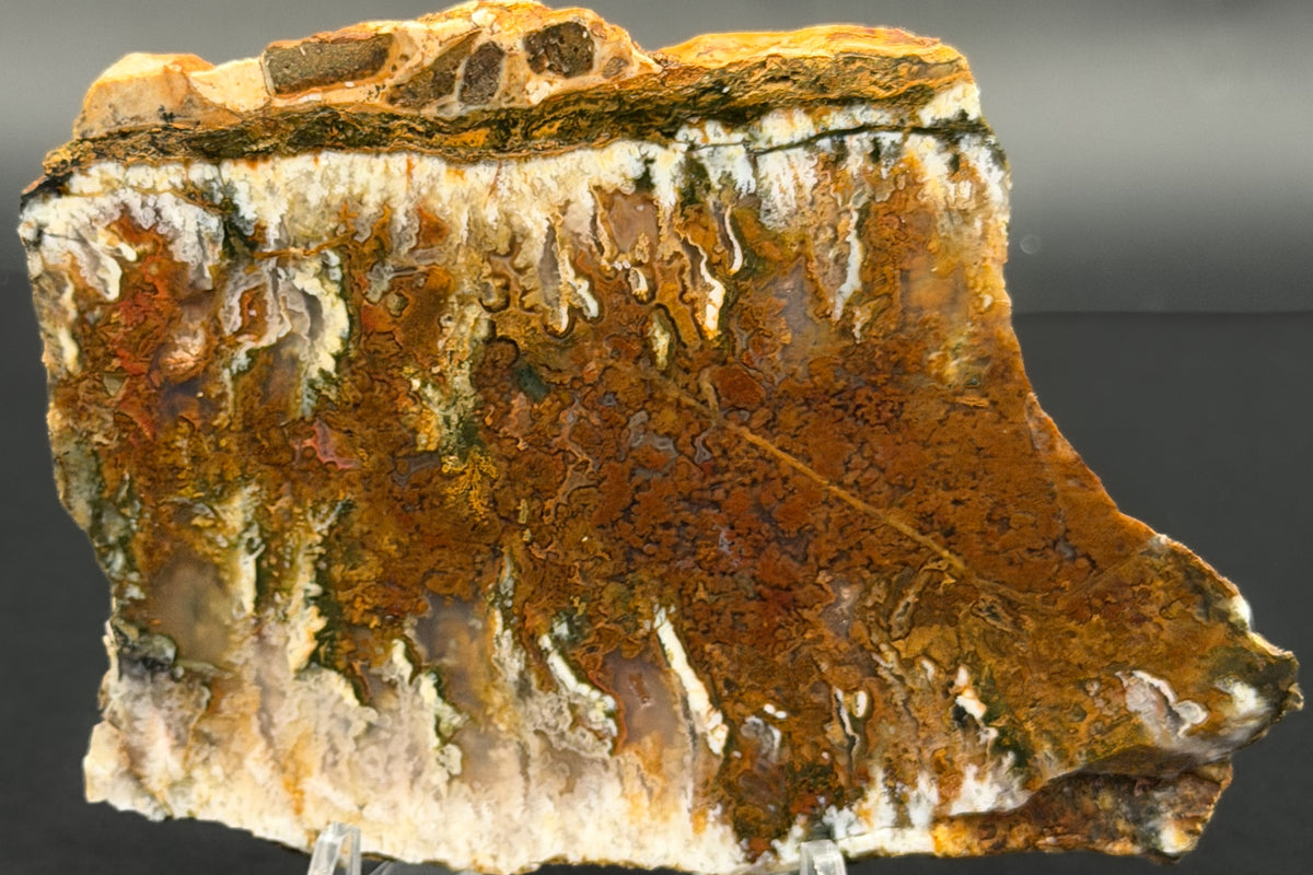 Linda Marie Plume Agate (Unpolished)