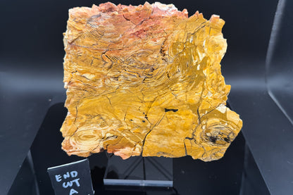 Howardite Jasper