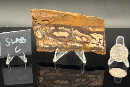 Outback Jasper (Unpolished)