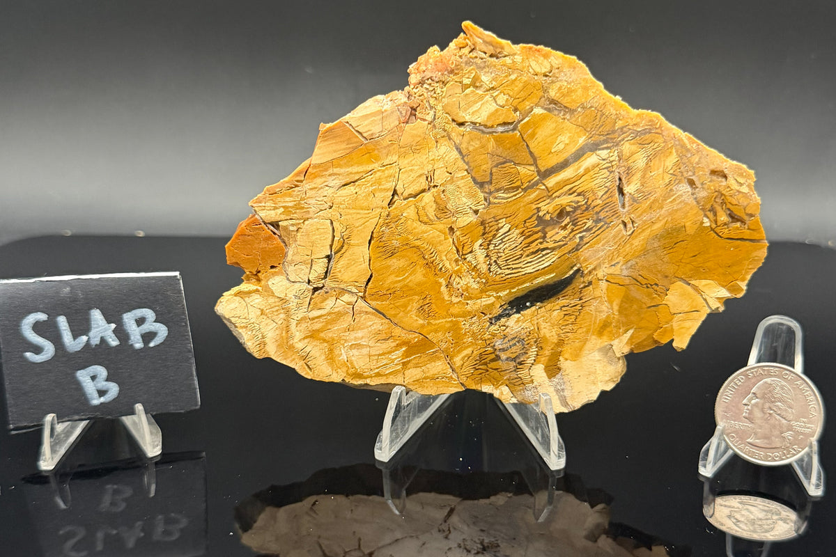 Howardite Jasper