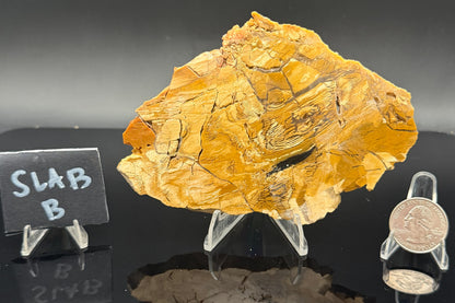 Howardite Jasper